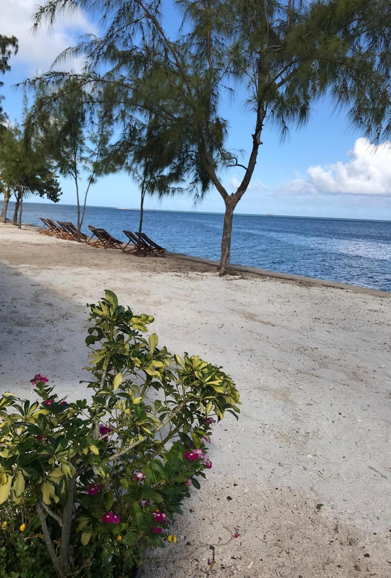 Bon Vivant Front De Mer - Ile Rodrigues Port Mathurin Exterior foto